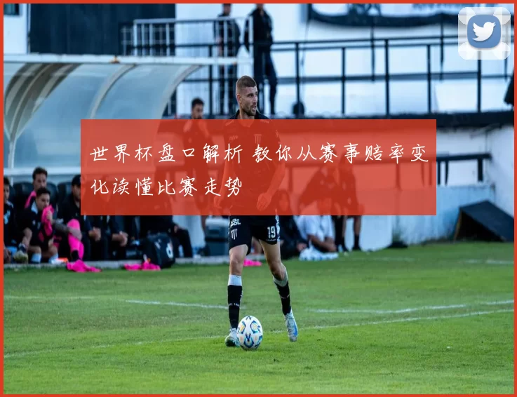 世界杯盘口解析 教你从赛事赔率变化读懂比赛走势