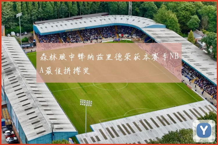 森林狼中锋纳兹里德荣获本赛季NBA最佳拼搏奖